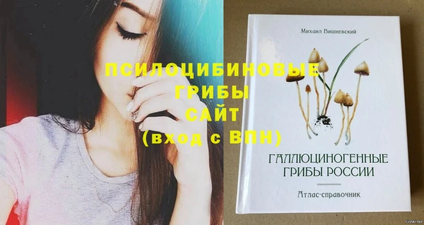 mix Горнозаводск