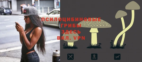 круглые Магас