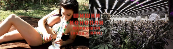 бошки Горняк
