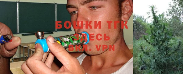 бошки Горняк