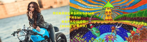 гашик Горно-Алтайск