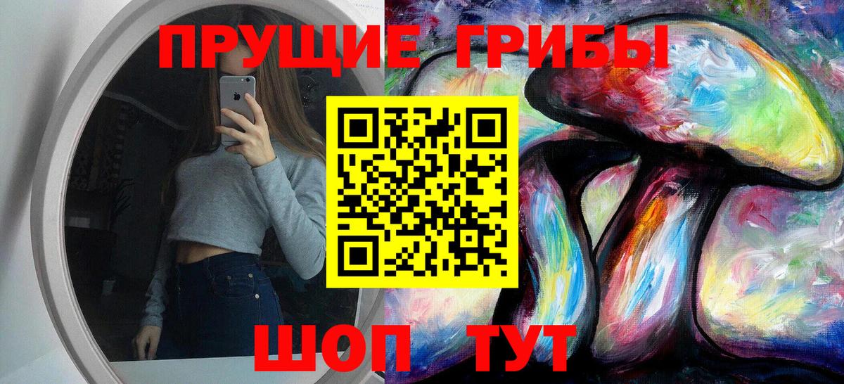 Галлюциногенные грибы Psilocybe Гуково