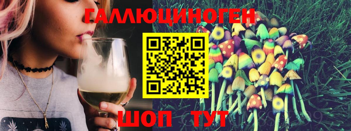 Гуково  продажа наркотиков  Галлюциногенные грибы мицелий  Вход с VPN  Галлюциногенные грибы Psilocybe 