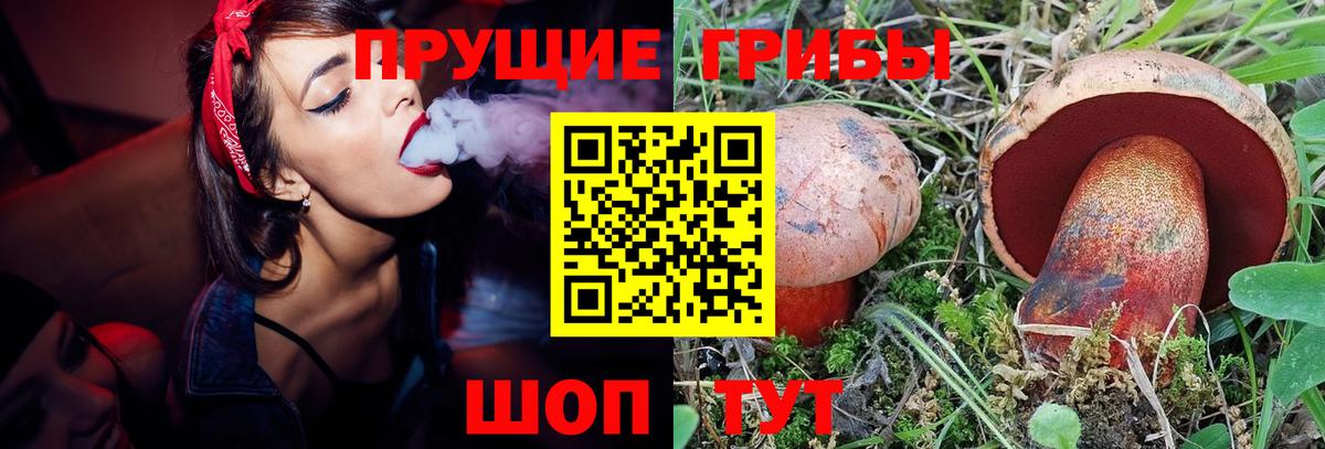 Галлюциногенные грибы ЛСД Гуково