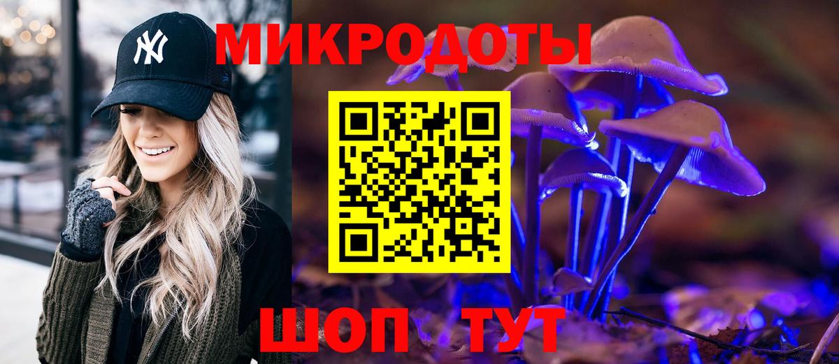 Псилоцибиновые грибы прущие грибы  Гуково  как найти закладки  Галлюциногенные грибы Psilocybe 