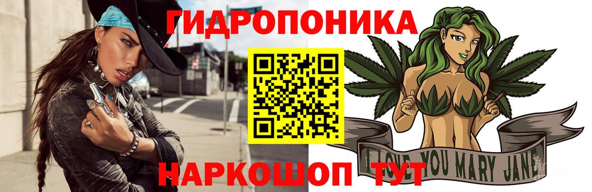 Бошки Шишки семена  Канабис VHQ  Гуково  Канабис семена  Вход с VPN 